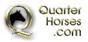 QuarterHorses.com