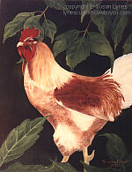 Rooster oil painting by artist Susan Lynes