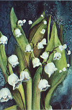 Lily of the Valley - by artist Susan Lynes