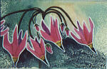 Shooting Star 2 - by artist Susan Lynes